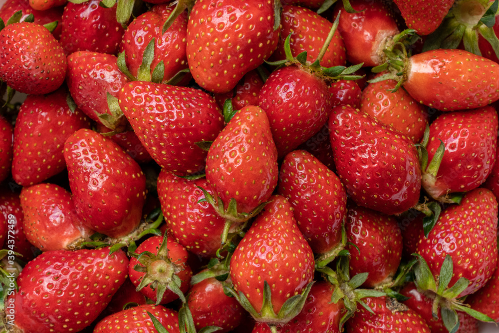 Many red bright ripe organic natural strawberry berries top view Many red bright ripe organic natural strawberry berries top view