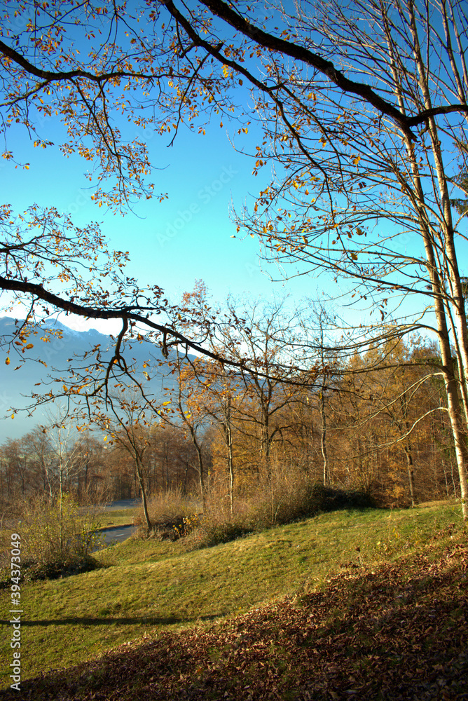 Fototapeta premium Wunderschöne Herbststimmung in Triesenberg in Liechtenstein 18.11.2020