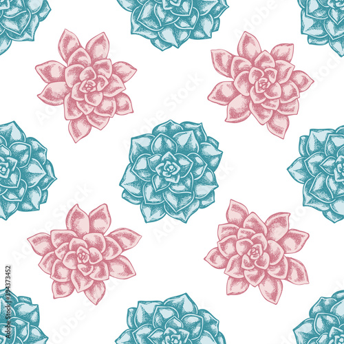 Seamless pattern with hand drawn pastel succulent echeveria