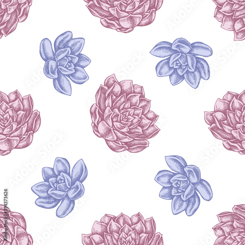 Seamless pattern with hand drawn pastel succulent echeveria