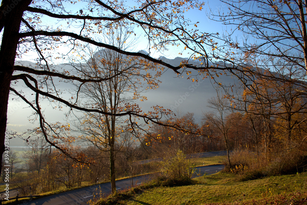 Naklejka premium Wunderschöne Herbststimmung in Triesenberg in Liechtenstein 18.11.2020