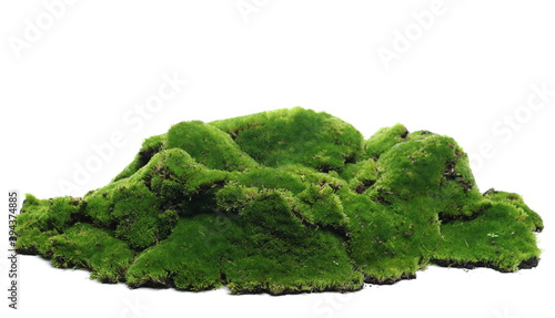 Green moss isolated on white background and texture