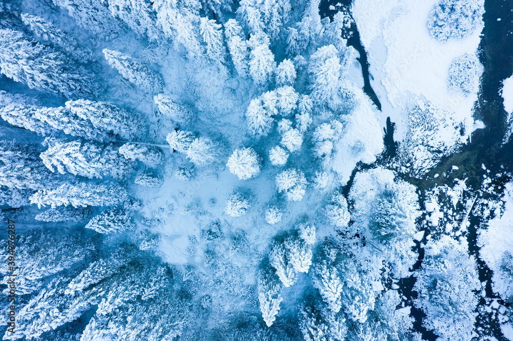 Winter aerial view on the snowy forest and icy river.