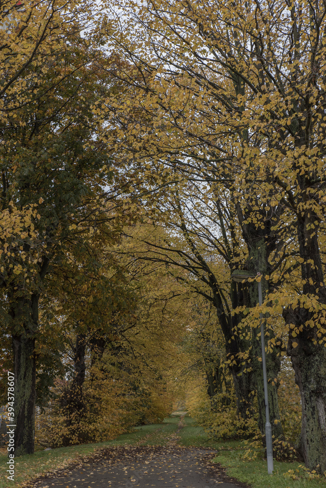 Naklejka premium Skåne landscape in and around Malmö, Sweden in autumn