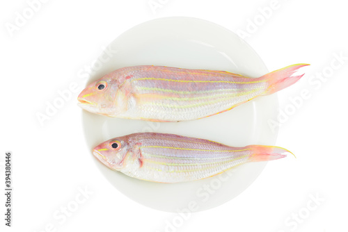 two fresh red fish on white plate. 
