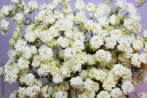 White flowers Colorful dried in a gold vase on a white wooden table. vintage style dry flowers. dried flowers are a decoration of the living room. Blurred image of white flower grass background