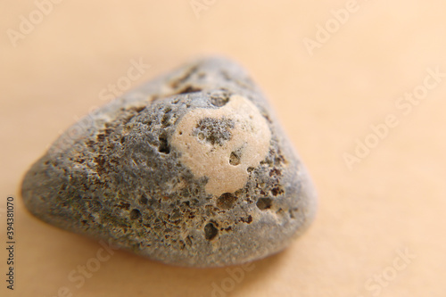 natural sea stone on yellow background