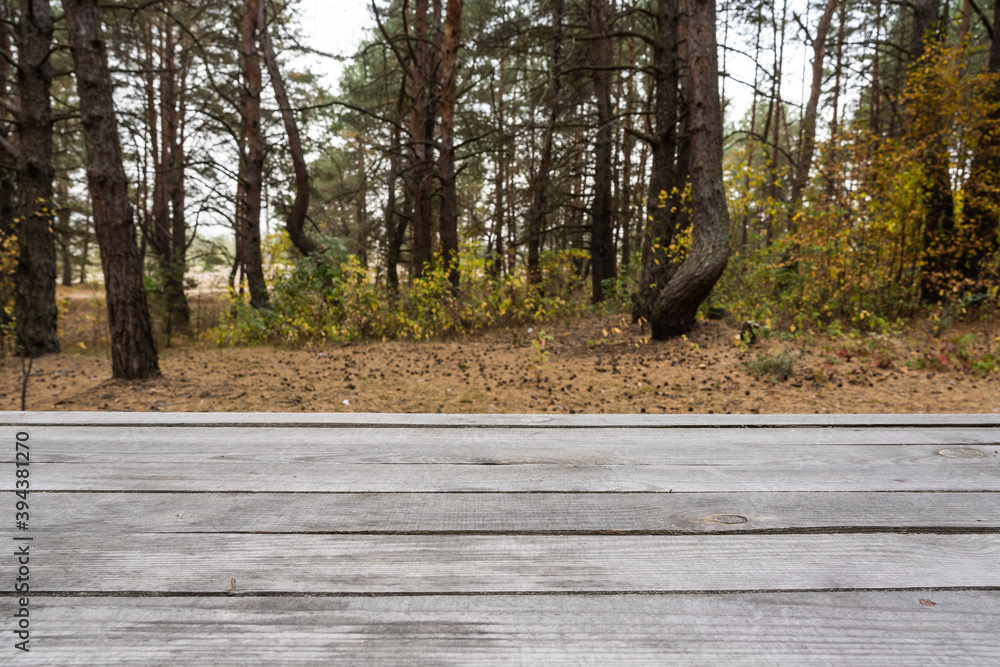 Natural wooden surface of table standing in autumn forest outdoor.