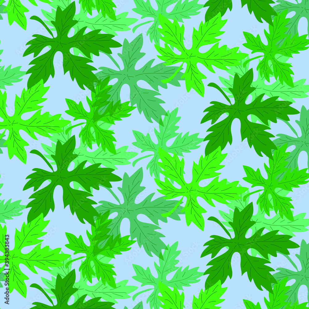 vector drawing of abstractions and leaves