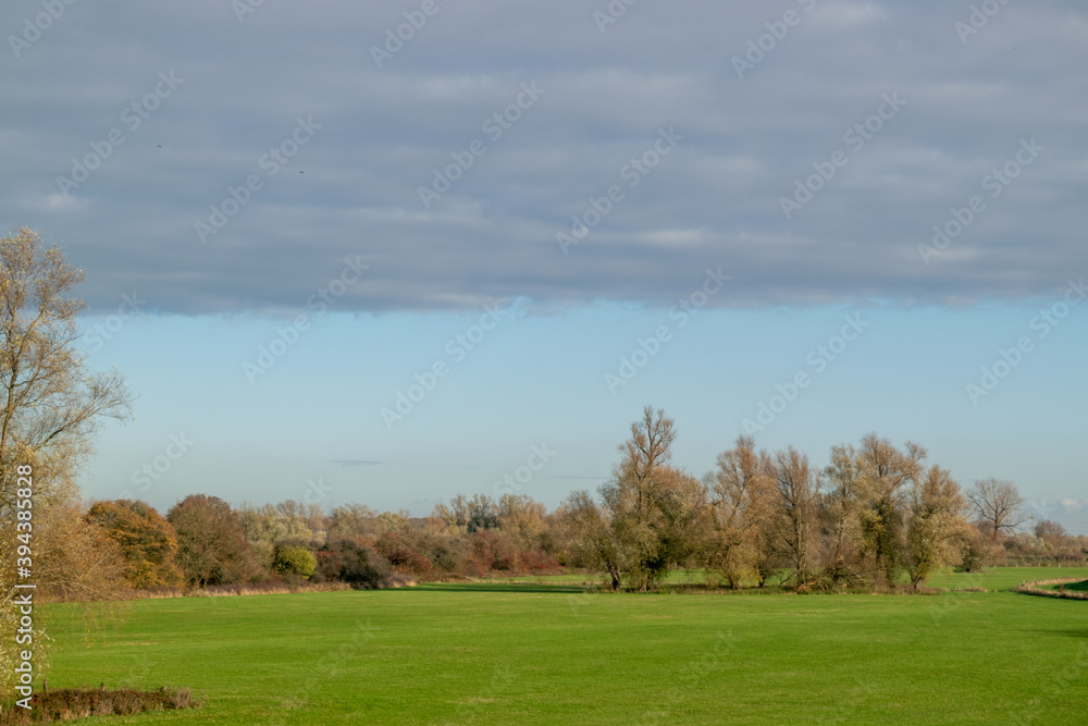 Dutch nature scenery during fall season Dutch nature scenery during fall season