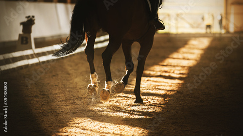 A dark Bay fast horse with a black tail and a rider in the saddle runs hooves on a sandy covered arena, through the roof of which bright sun rays break through and illuminate the horse.