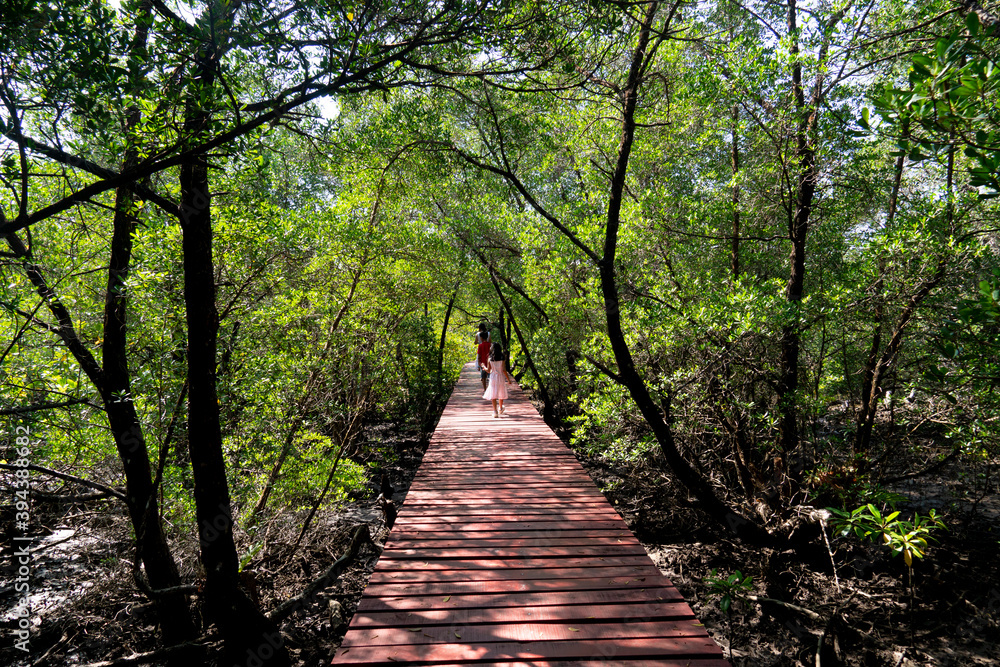 Obraz premium Red wooden pathway stretching through the mangrove forest. with blur of people walk on the wooden floor walkway. At Mangrove forest Sa-Lak-Phet Baan Na Nai Koh Chang Trat of Thailand.