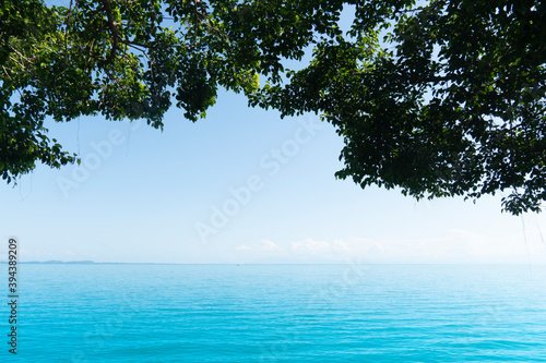 Fototapeta Naklejka Na Ścianę i Meble -  Bright turquoise sea And there are branches and leaves. on top Empty space of sky in the middle.