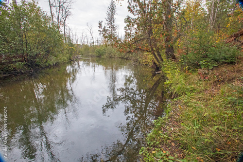 Rifle River, Rifle River Recreation Area, Ogemaw County, Michigan © Ian James Allan