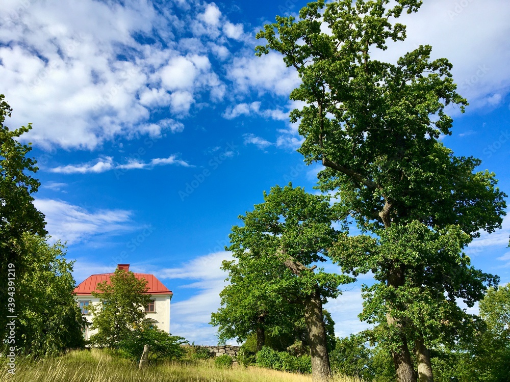 A house with a red roof hiding behind a green tree.. More green trees to the right. Blue sky with some white clouds. Järfälla, Stockholm, Sweden. A house with a red roof hiding behind a green tree.. More green trees to the right. Blue sky with some white clouds. Järfälla, Stockholm, Sweden.