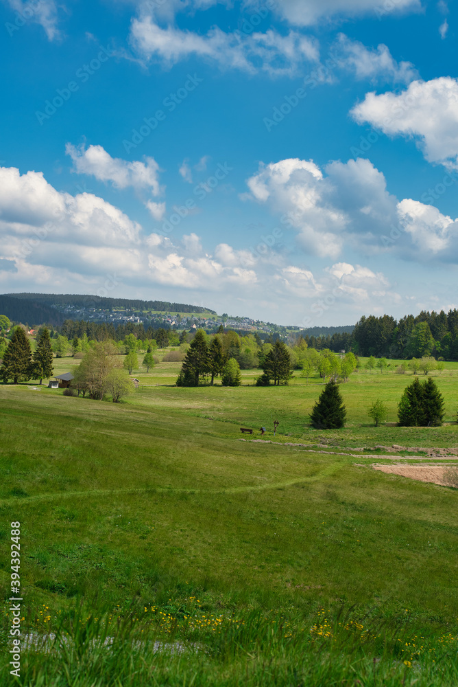 Sommerliche Landschaft im Thüringer Wald Deutschland