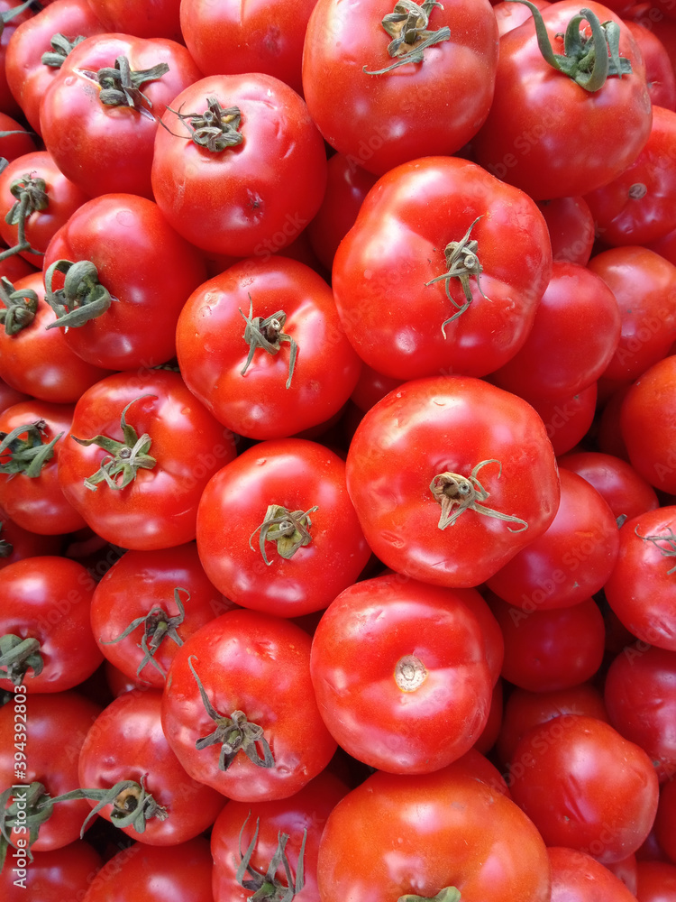 Fresh red organic tomatoes on grocery shelf. Fresh red organic tomatoes on grocery shelf.