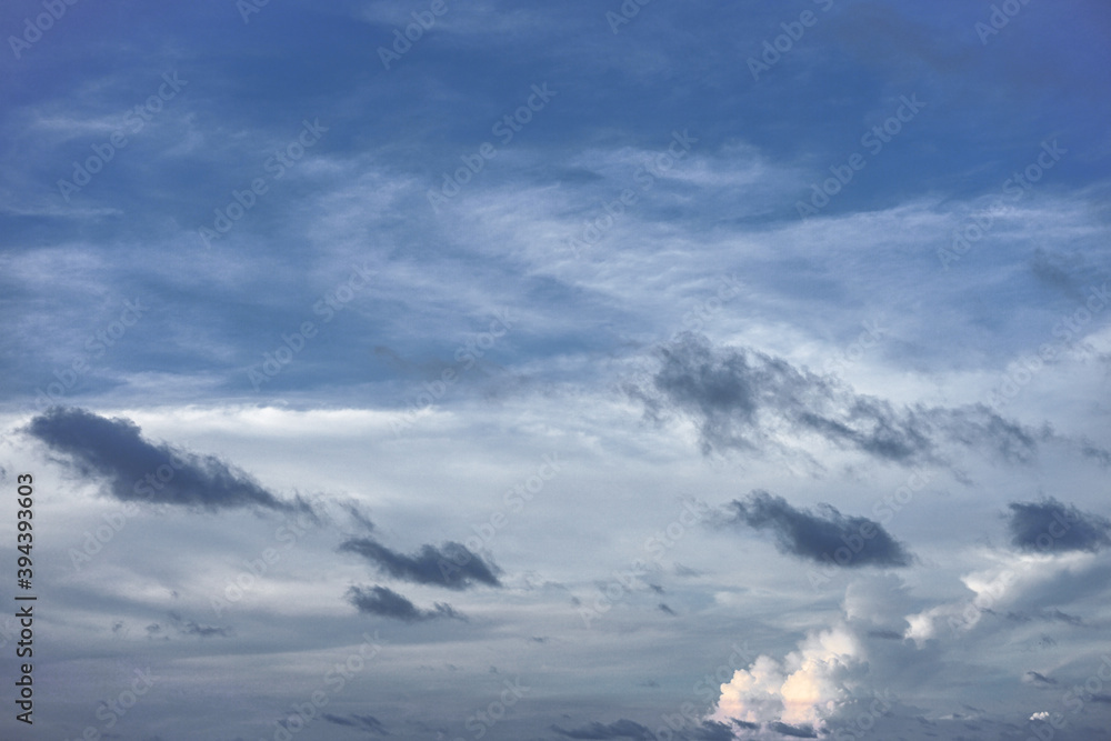 A vast world with beautiful skies and freedom to fly. copy space for banner or wallpaper background A vast world with beautiful skies and freedom to fly. copy space for banner or wallpaper background