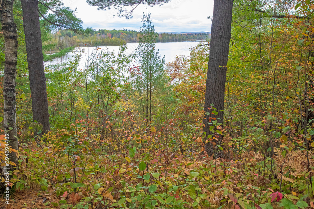 Obraz premium Grousehaven Lake, Overlook, Rifle River Recreation Area, Ogemaw County, Michigan