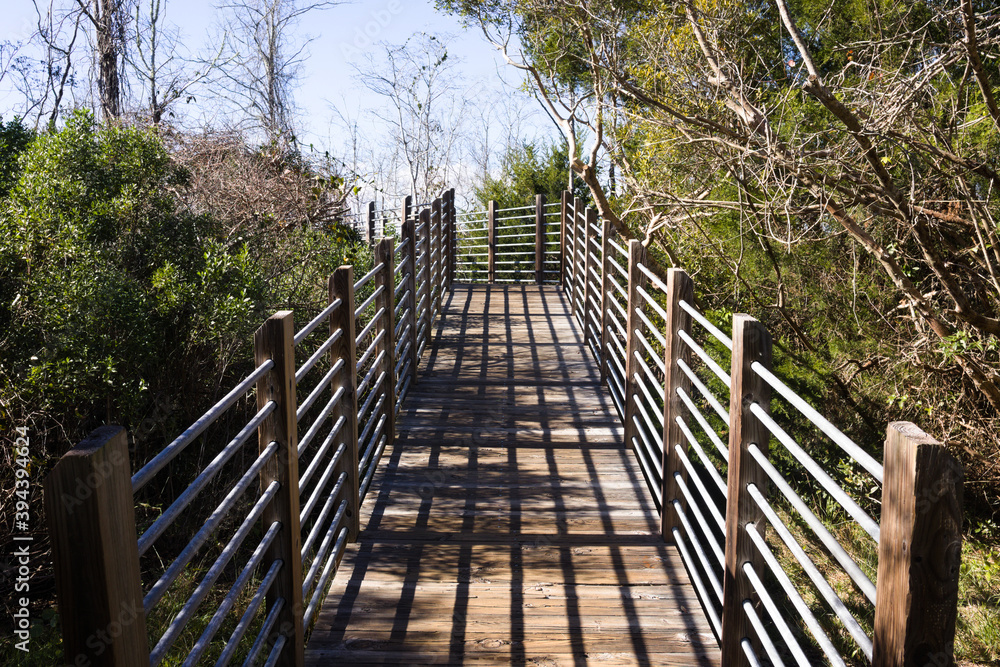 Wooden bridge path forest area, journey metaphor