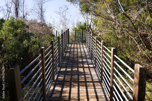 Wooden bridge path forest area  journey metaphor