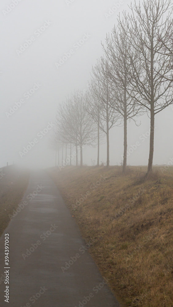 Fototapeta premium path in the fog
