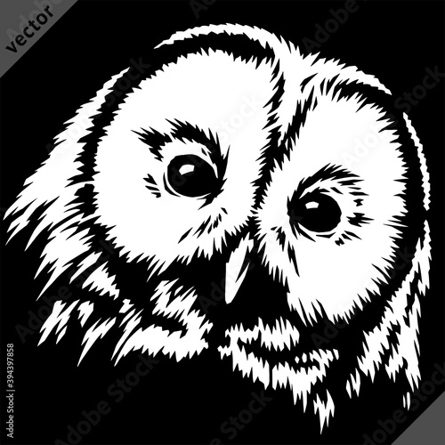 Fototapeta Naklejka Na Ścianę i Meble -  black and white linear paint draw owl vector illustration art