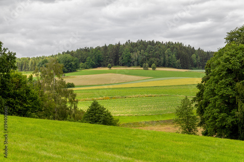 Bavarian Forest scenery