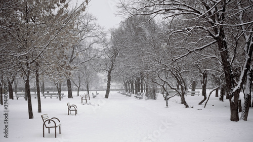 Public park covered in snow, during misty morning, without people