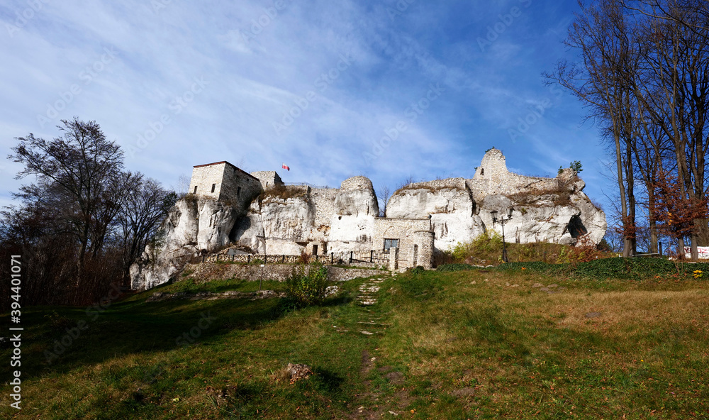 Zamek Bąkowiec – pozostałości zamku rycerskiego na Wyżynie Krakowsko-Częstochowskiej