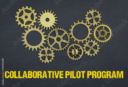 Collaborative Pilot Program © magele-picture