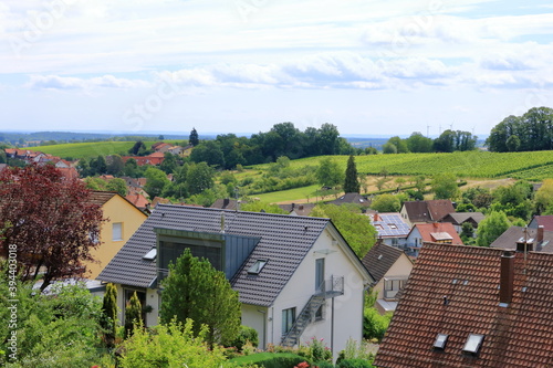 Wallpaper Mural View from the vineyards to Pleisweiler on the german wine route in the palatinate Torontodigital.ca