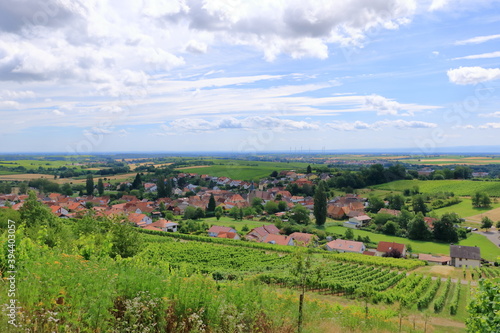 View from the vineyards to Pleisweiler on the german wine route in the palatinate