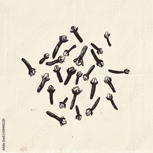 Dried cloves, aromatic flower buds, vintage graphic illustration 
