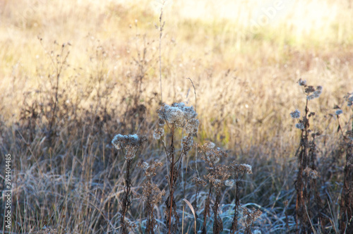 Wallpaper Mural Kalt! Torontodigital.ca
