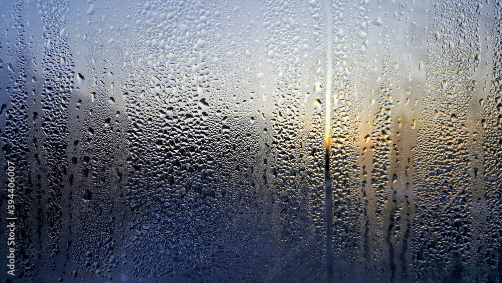 Foggy Window Foggy Window