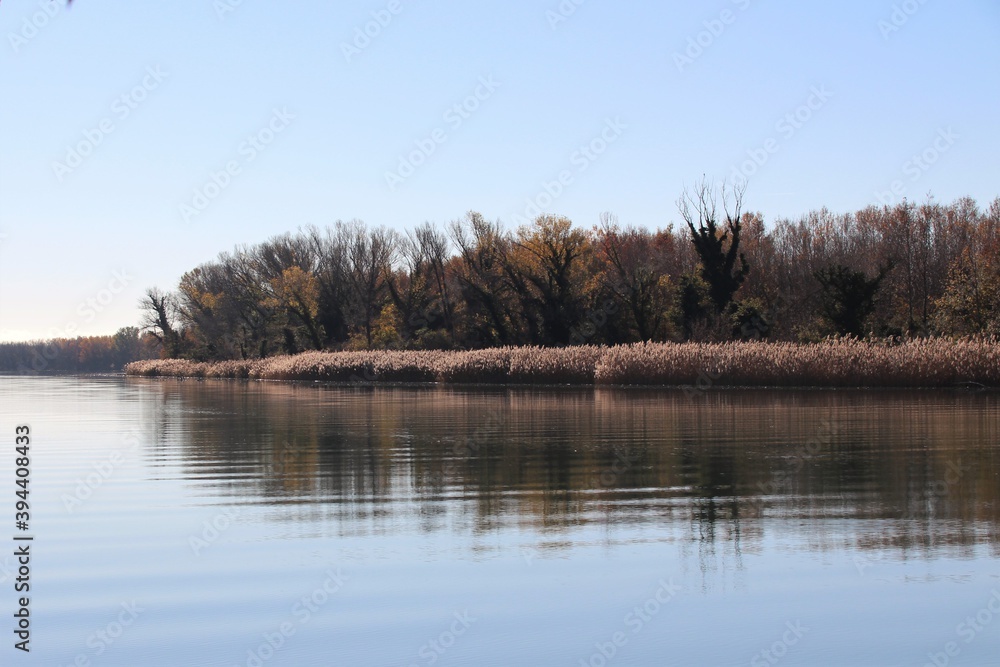 PAESAGGIO LAGUNARE PAESAGGIO LAGUNARE