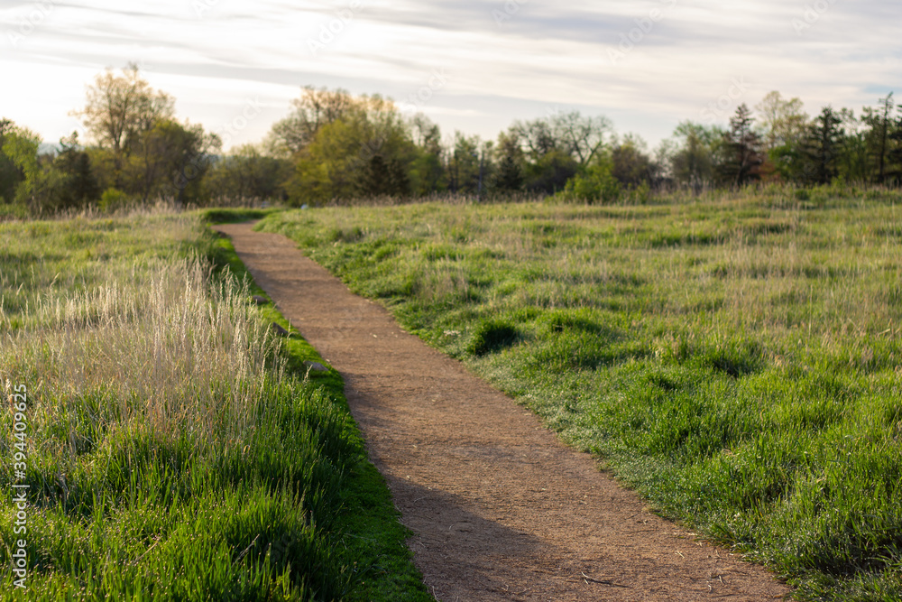 Hiking path with trees and sky background Hiking path with trees and sky background