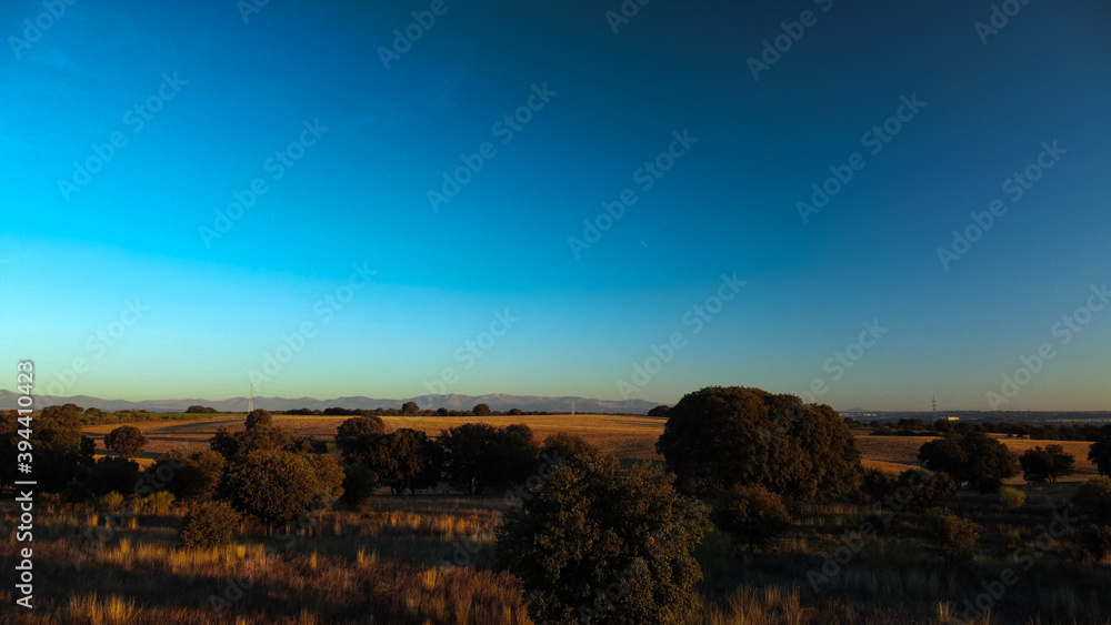 krajobraz drzewa pola niebo niebieskie natura krajobraz drzewa pola niebo niebieskie natura