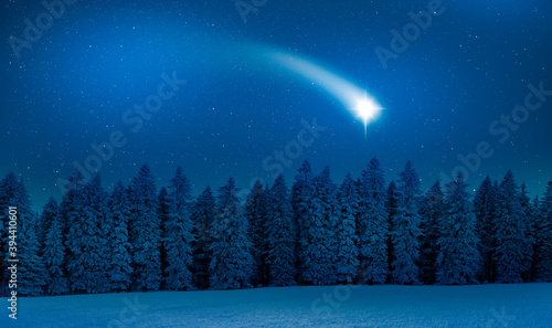 sternschnuppe über einem Winterwald bei Nacht
