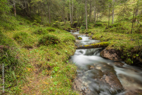 A mountain stream flows in the misty forest