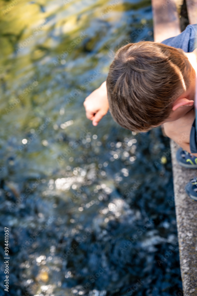 Naklejka premium Child feeding Trout at the D.C. Booth Historic National Fish Hatchery in Spearfish, South Dakota, USA