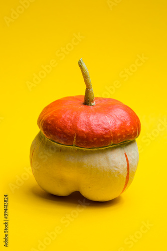 Nature can be very creative, small pumkin on yellow background