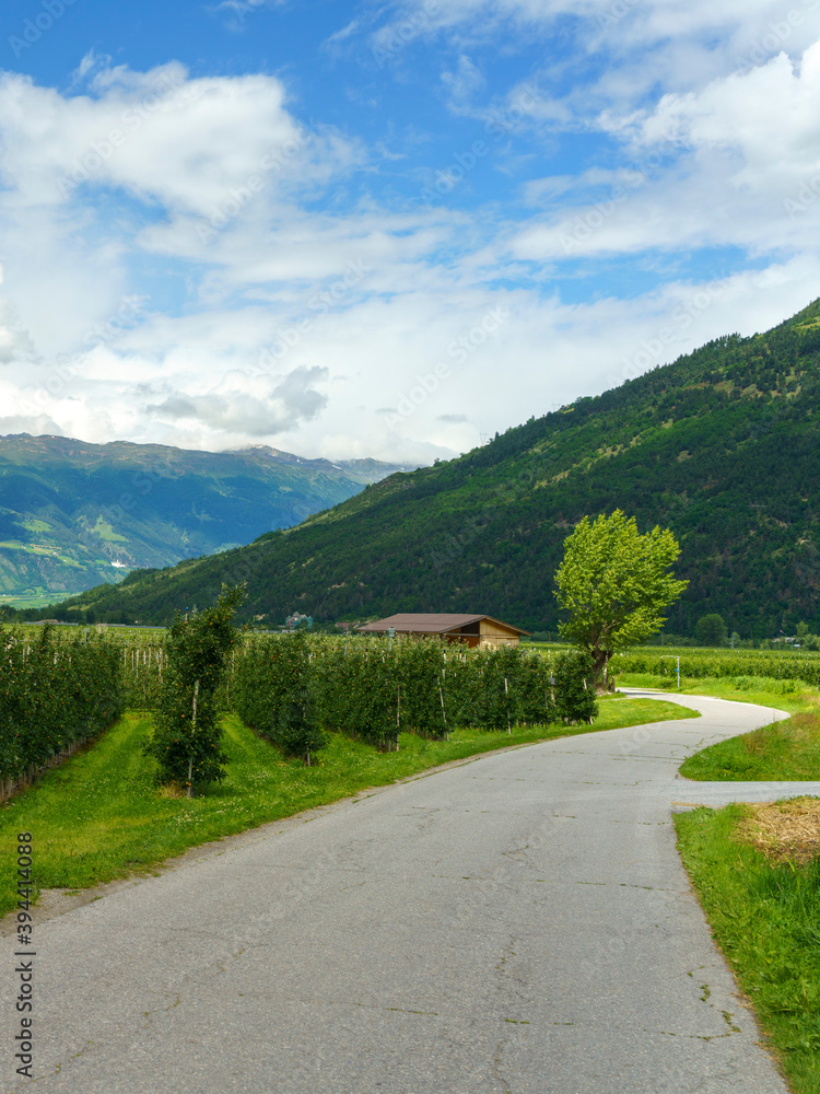 Summer landscape along the cycleway of the Venosta valley