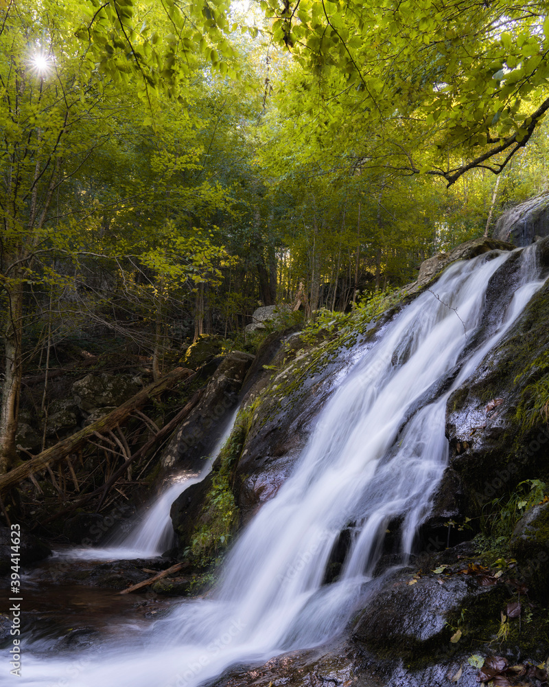 waterfall in the forest