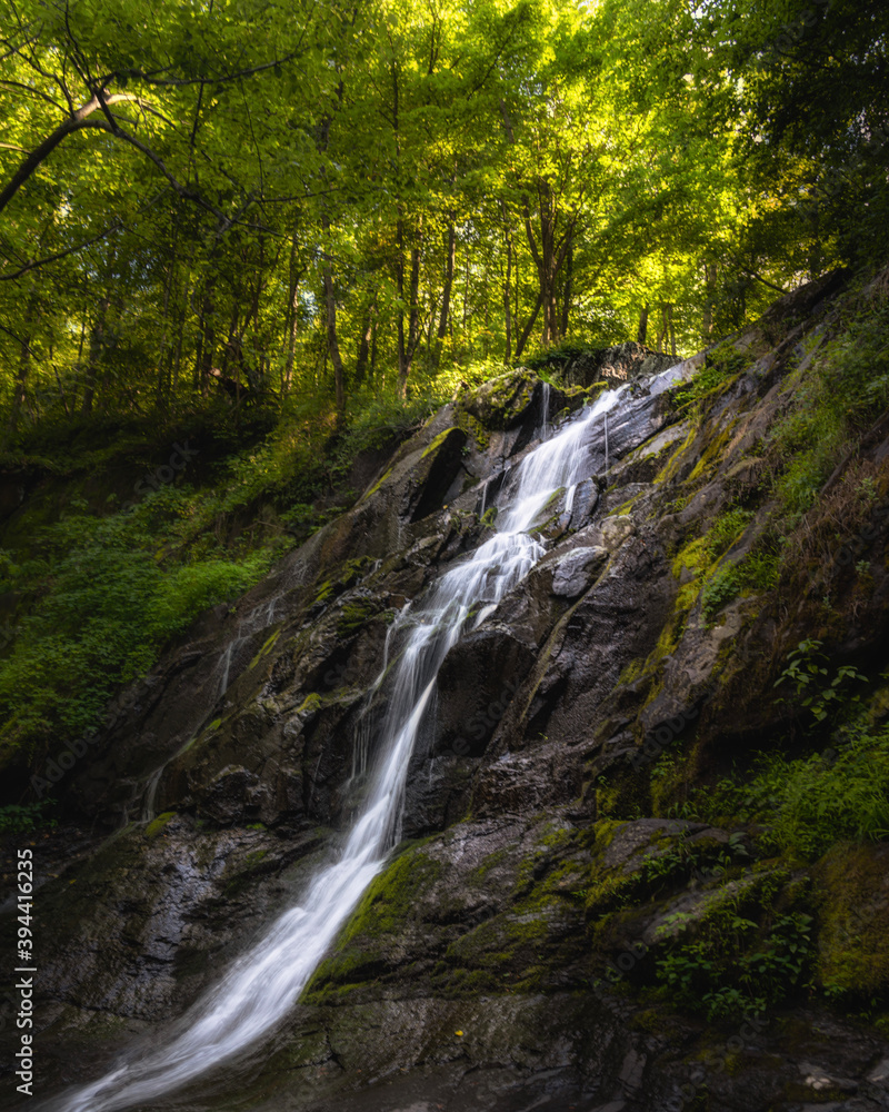 Fototapeta premium waterfall in the woods