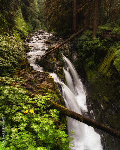 waterfall in the forest