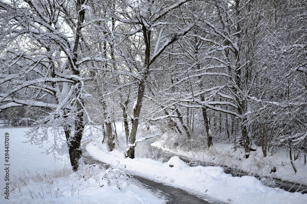 snow winter forest christmas winter wonderland sunset