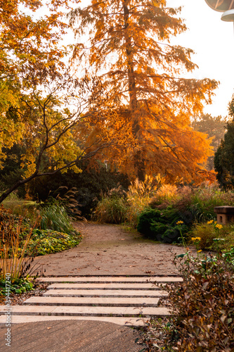 Autumn colors