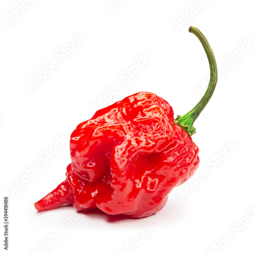 Fotografía Carolina Reaper, the hottest chile pepper Capsicum chinense, whole ripe pod, isolated on white background